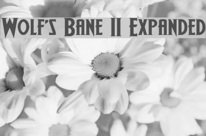 Wolf's Bane II Expanded Font examples
