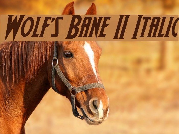 Wolf's Bane II Italic Font examples