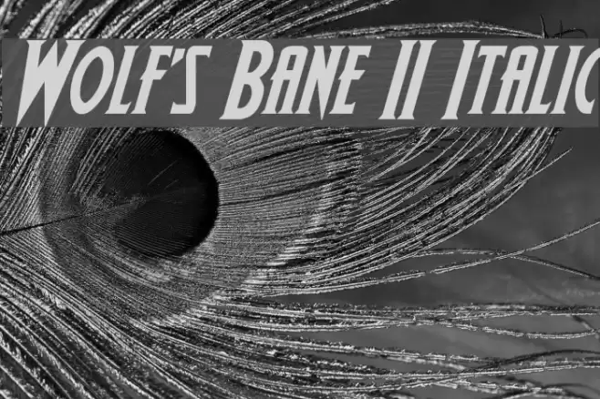 Wolf's Bane II Italic Font examples