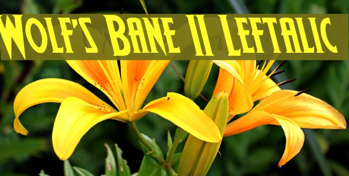 Wolf's Bane II Leftalic Font examples