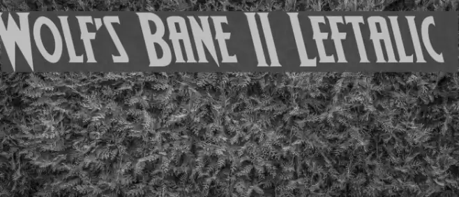 Wolf's Bane II Leftalic Font examples