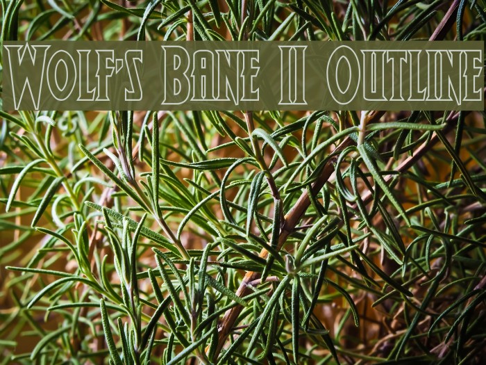 Wolf's Bane II Outline Example 3