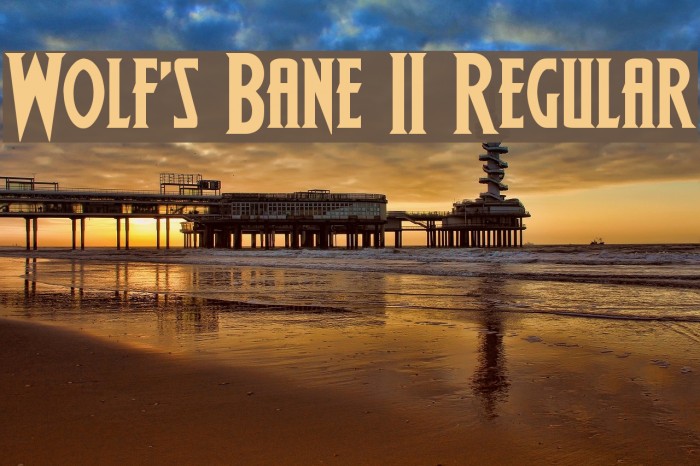 Wolf's Bane II Regular Polices examples