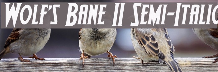 Wolf's Bane II Semi-Italic Font examples