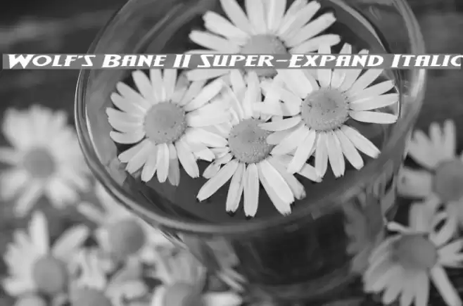 Wolf's Bane II Super-Expand Italic Font examples