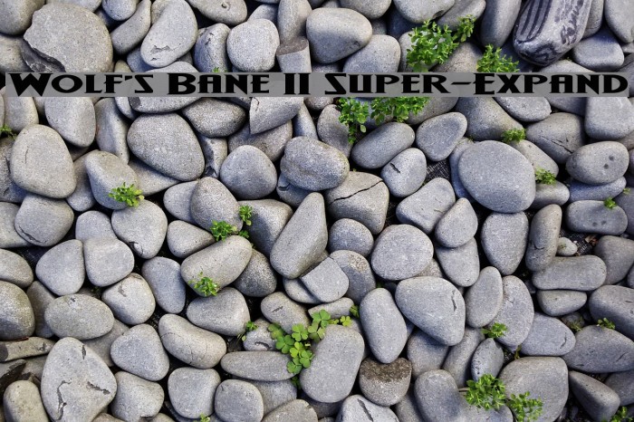 Wolf's Bane II Super-Expand Font examples