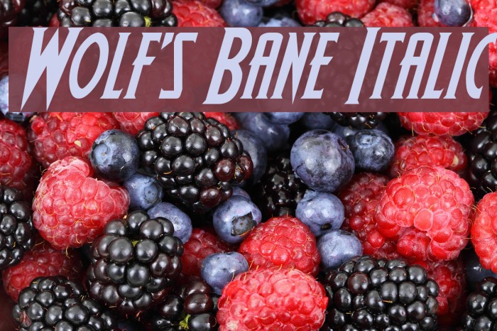 Wolf's Bane Italic Font examples