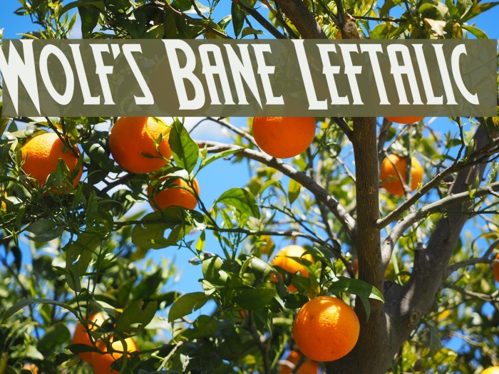 Wolf's Bane Leftalic Font examples