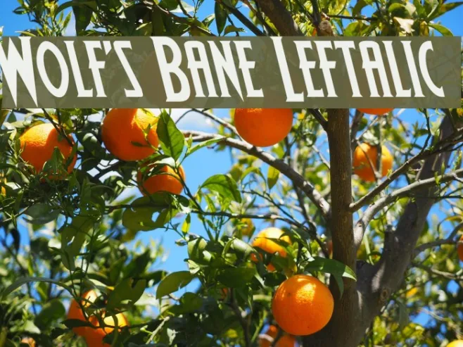 Wolf's Bane Leftalic Example 2