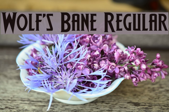 Wolf's Bane Regular Font examples