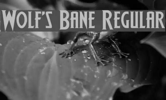 Wolf's Bane Regular Font examples