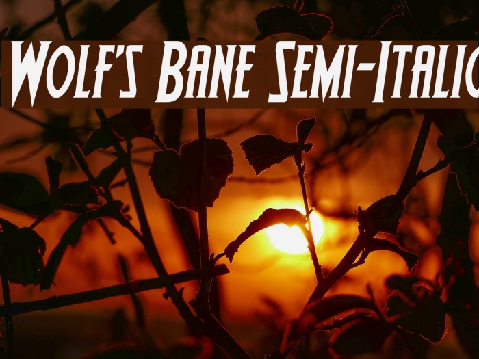 Wolf's Bane Semi-Italic Font examples