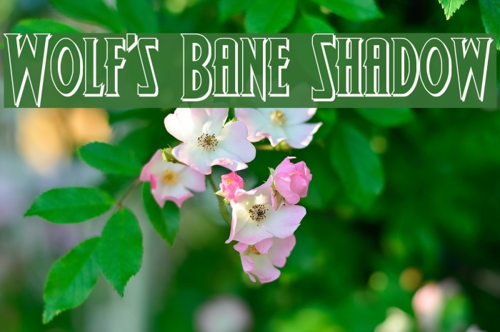 Wolf's Bane Shadow Font examples