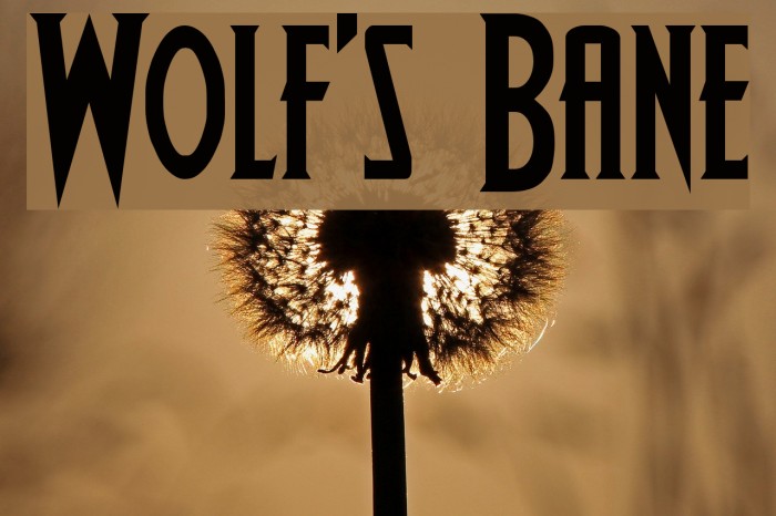 Wolf's Bane Font examples