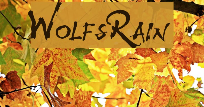 WolfsRain Font examples