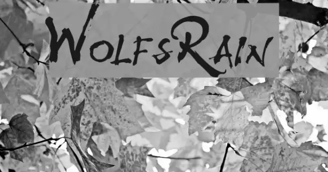 WolfsRain Font examples