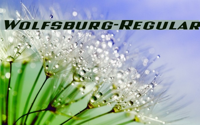 Wolfsburg-Regular Font examples