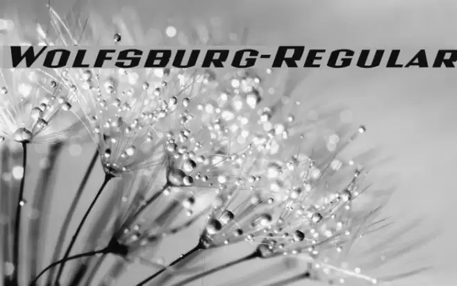 Wolfsburg-Regular Font examples