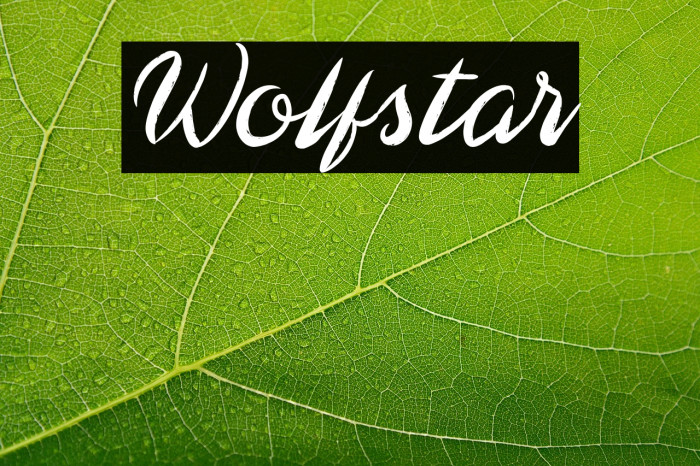Wolfstar Example 1