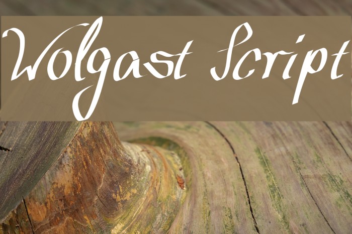 Wolgast Script Font examples