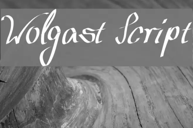 Wolgast Script Font examples