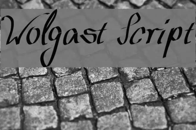Wolgast Script Font examples