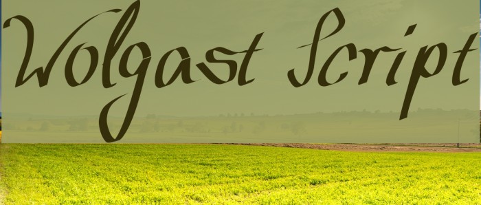 Wolgast Script Font examples