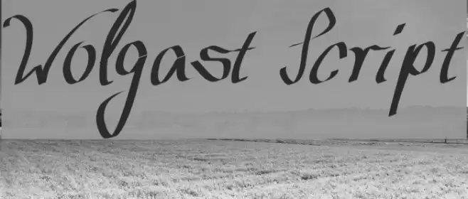 Wolgast Script Font examples