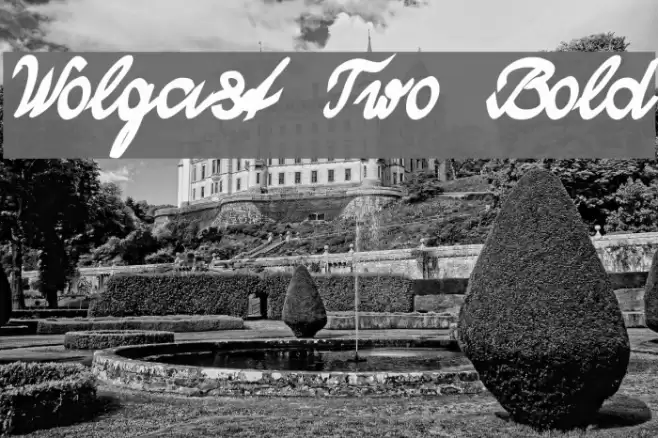 Wolgast Two Bold Fuentes examples