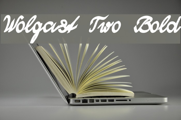 Wolgast Two Bold Font examples