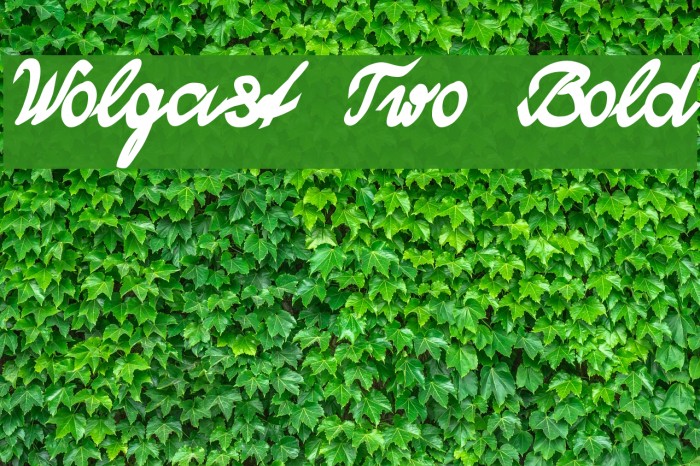 Wolgast Two Bold Font examples