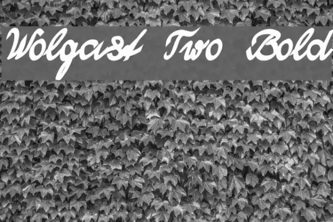 Wolgast Two Bold Fuentes examples