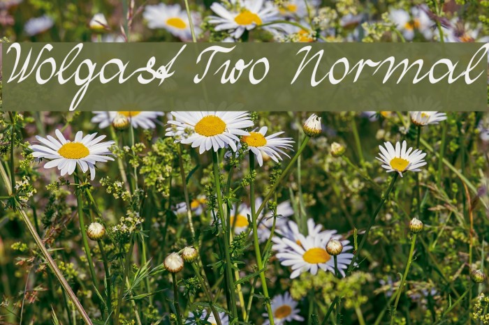 Wolgast Two Normal Font examples