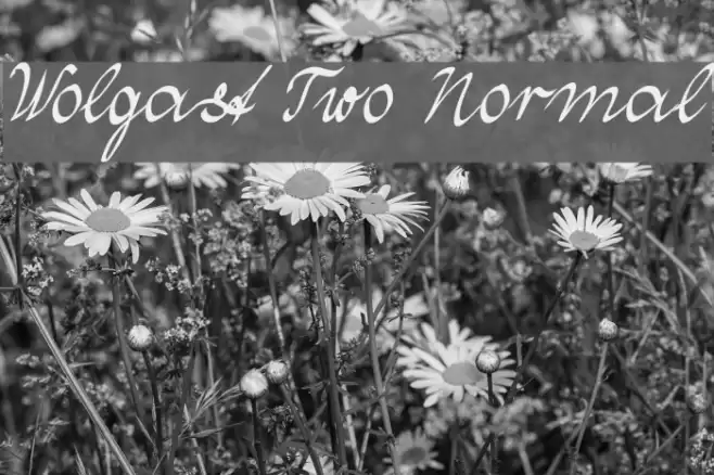 Wolgast Two Normal Fonte examples