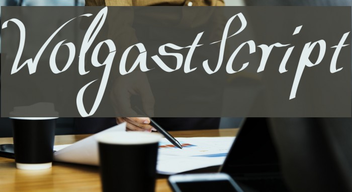 WolgastScript Font examples