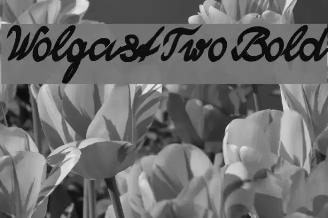 WolgastTwoBold Font examples
