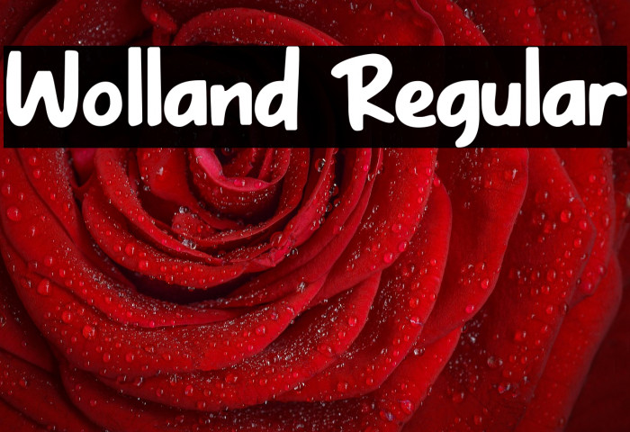 Wolland Regular Example 1