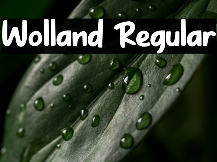 Wolland Regular Example 3