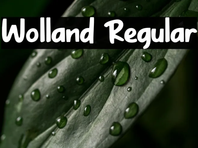 Wolland Regular Example 3