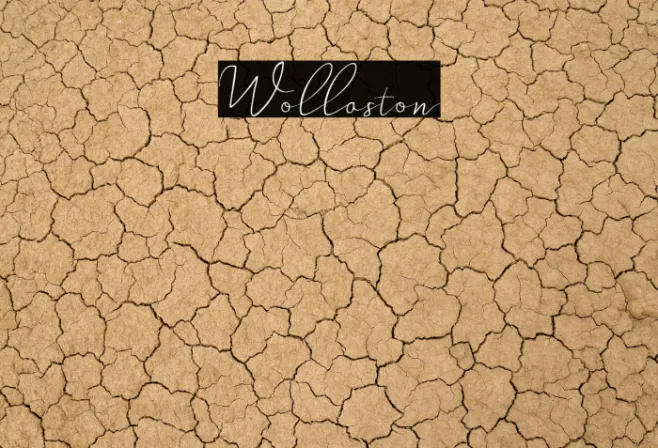 Wollaston Example 2