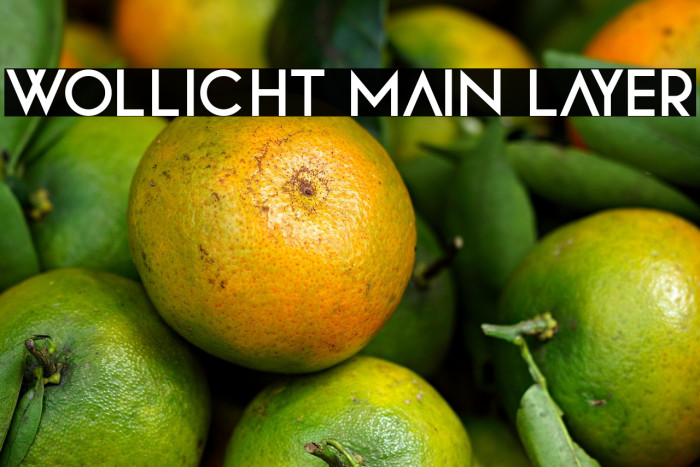 Wollicht Main Layer Example 2