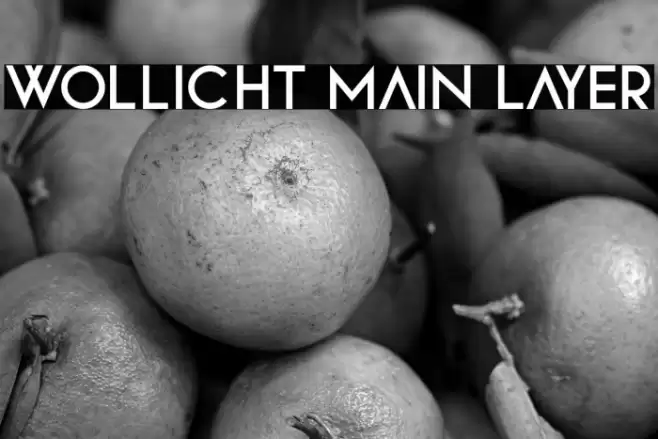 Wollicht Main Layer Font examples