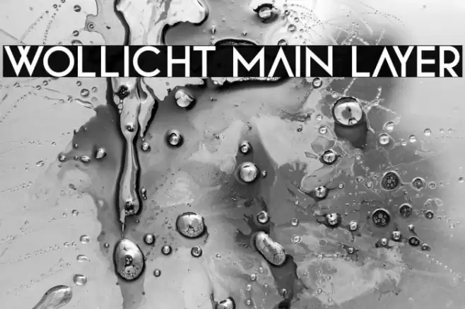 Wollicht Main Layer Font examples