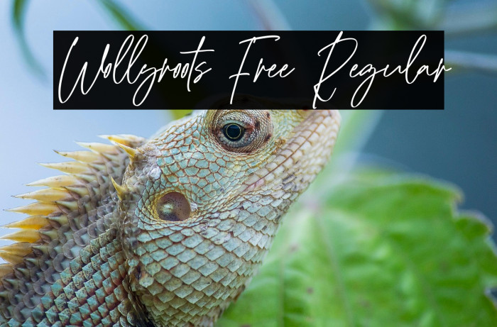 Wollyroots Free Regular Example 1