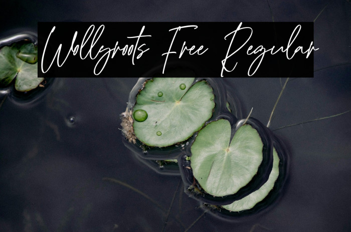 Wollyroots Free Regular Example 2