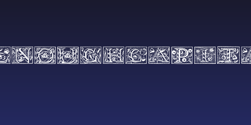 WolnoughCapitals Social Header