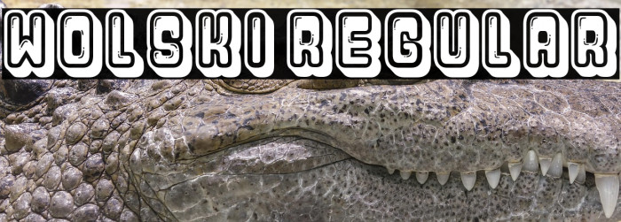 Wolski Regular Example 2