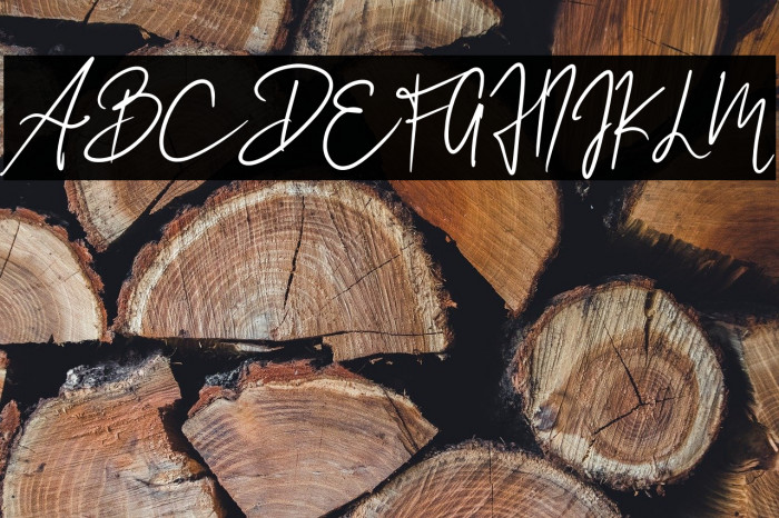 Wolussy Beauty Example 1