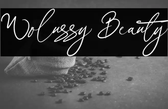 Wolussy Beauty Font examples