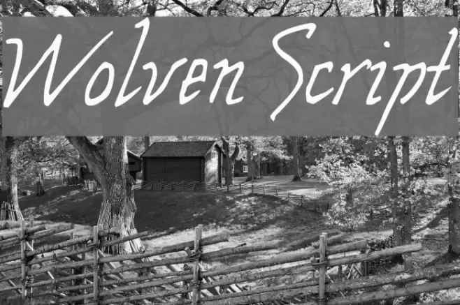 Wolven Script フォント examples